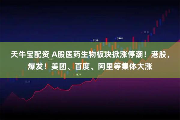 天牛宝配资 A股医药生物板块掀涨停潮！港股，爆发！美团、百度、阿里等集体大涨