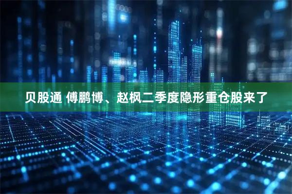 贝股通 傅鹏博、赵枫二季度隐形重仓股来了